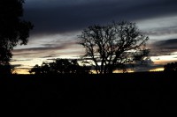 /album/galeria-de-fotos-do-hotel/dsc3552-jpg/